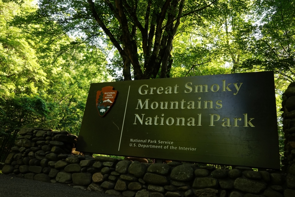 f:id:Yoshi4423:20170708012846j:plain