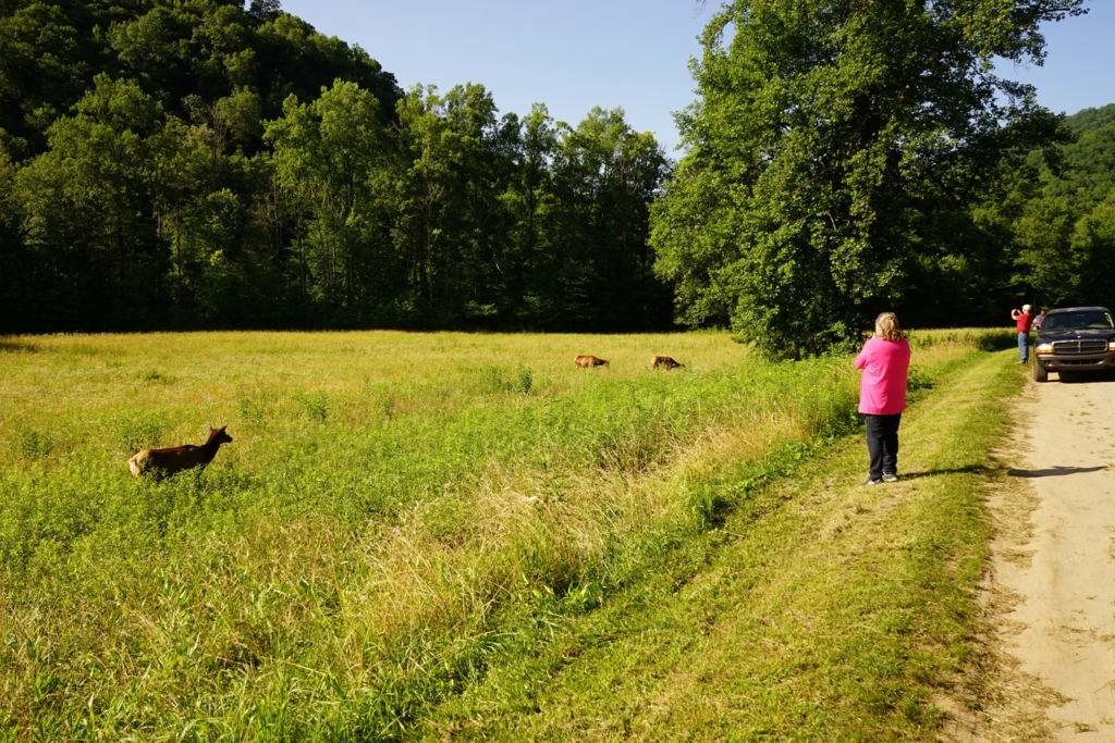 f:id:Yoshi4423:20170711024831j:plain