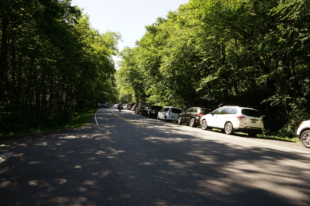 f:id:Yoshi4423:20170715053345j:plain