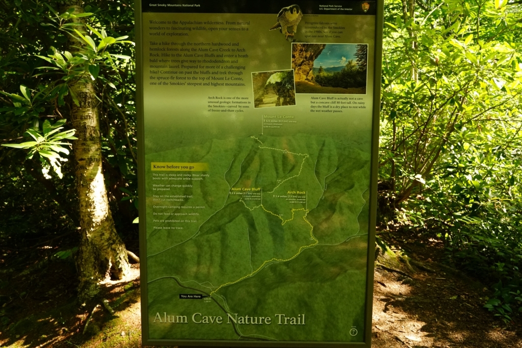 f:id:Yoshi4423:20170715053356j:plain