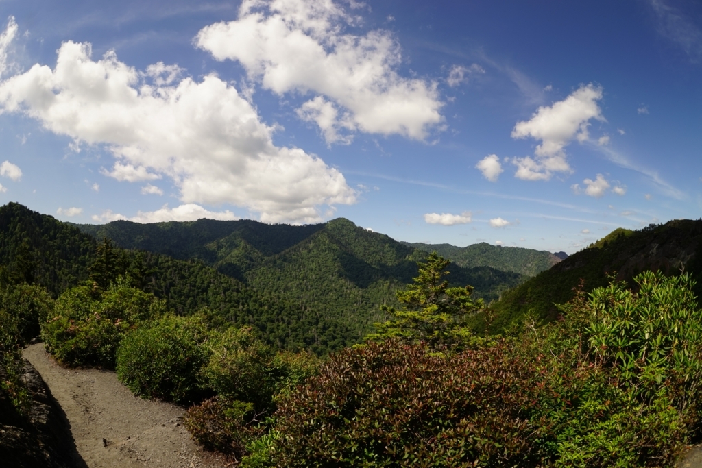 f:id:Yoshi4423:20170715053602j:plain