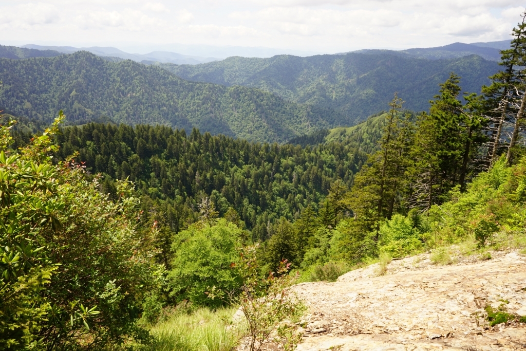 f:id:Yoshi4423:20170715053958j:plain