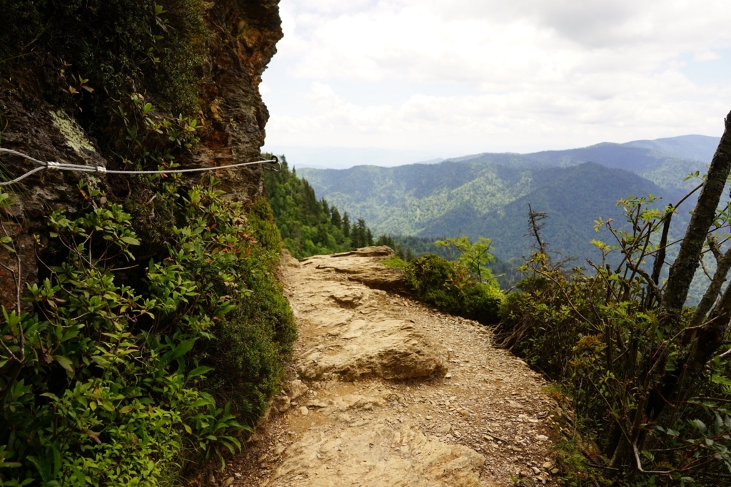 f:id:Yoshi4423:20170715054102j:plain