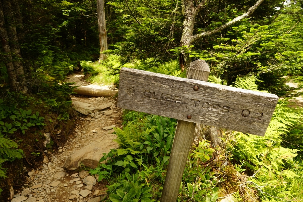 f:id:Yoshi4423:20170715054430j:plain