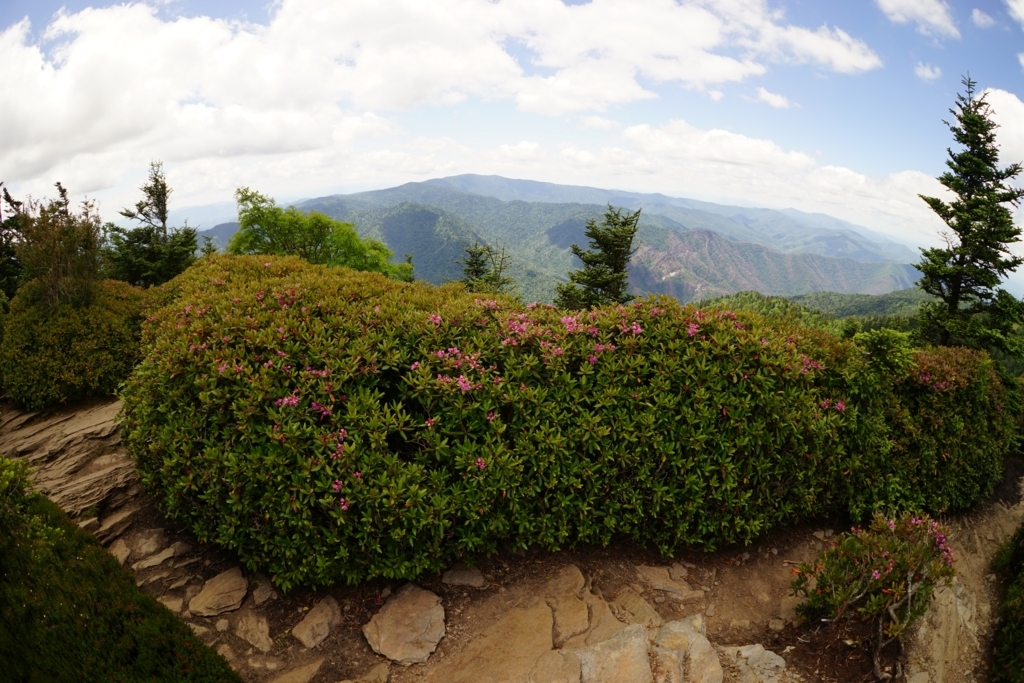 f:id:Yoshi4423:20170715054628j:plain