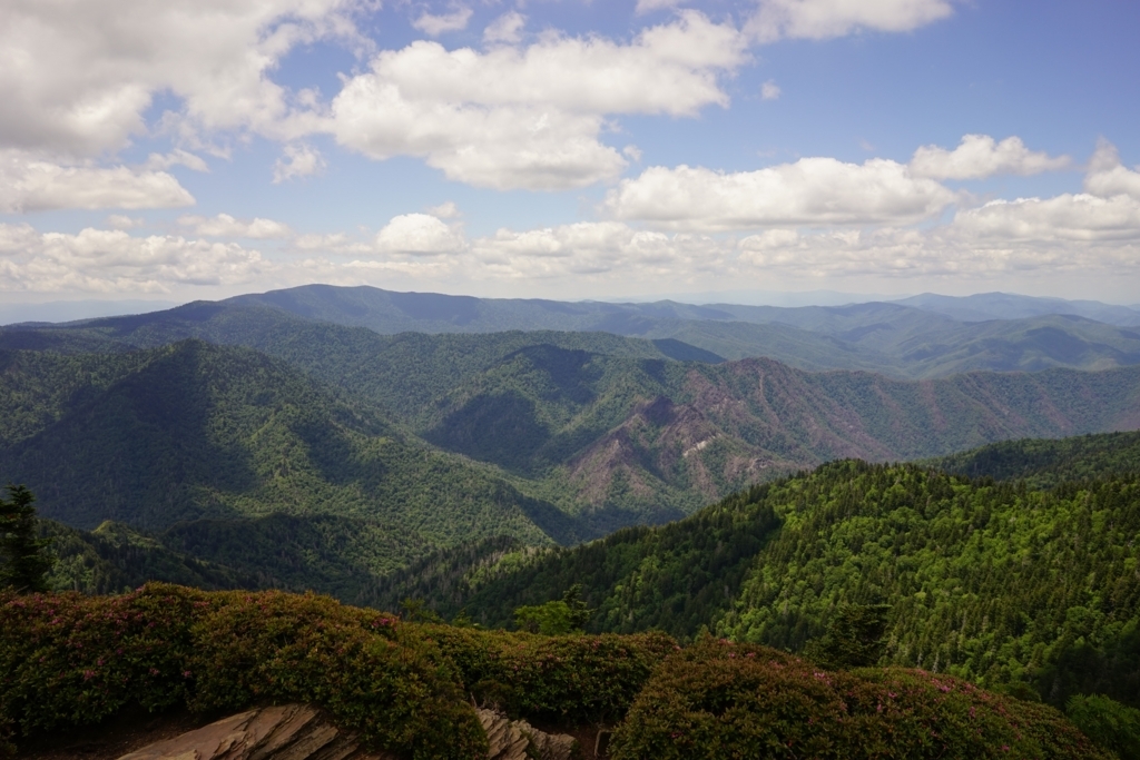 f:id:Yoshi4423:20170715054704j:plain