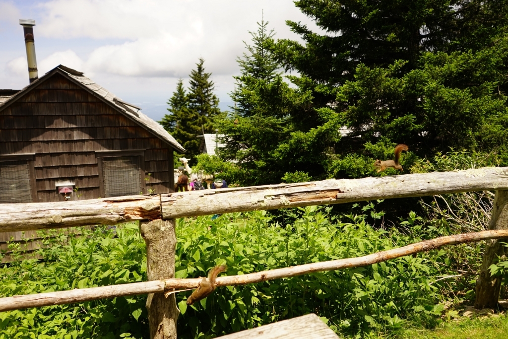 f:id:Yoshi4423:20170715061521j:plain