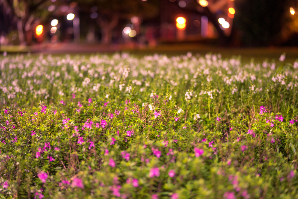 f:id:Yoshi4423:20180105143537j:plain