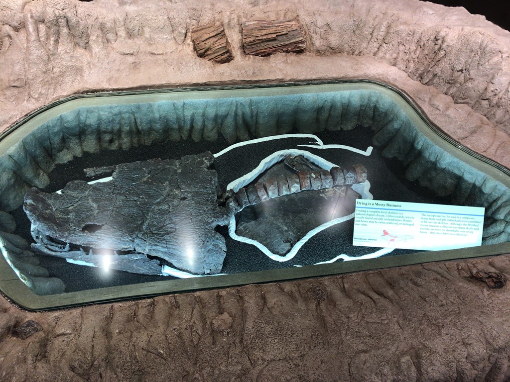 f:id:Yoshi4423:20180419033602j:plain f:id:Yoshi4423:20180419033602j:plain