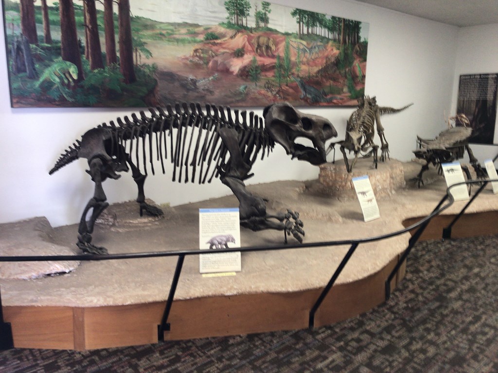 f:id:Yoshi4423:20180419033606j:plain f:id:Yoshi4423:20180419033606j:plain