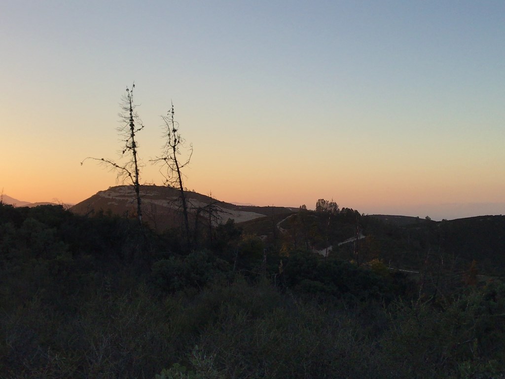 f:id:Yoshi4423:20180421102717j:plain