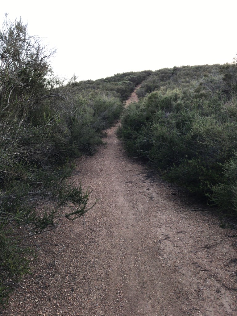 f:id:Yoshi4423:20180421102748j:plain