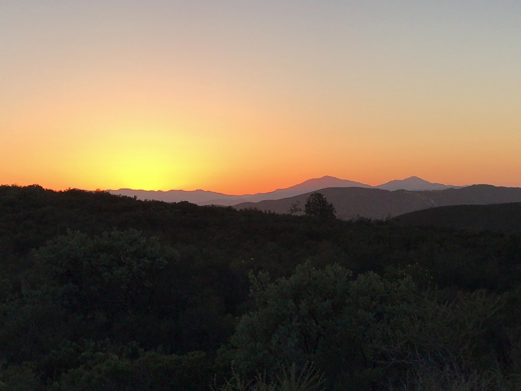 f:id:Yoshi4423:20180421102839j:plain