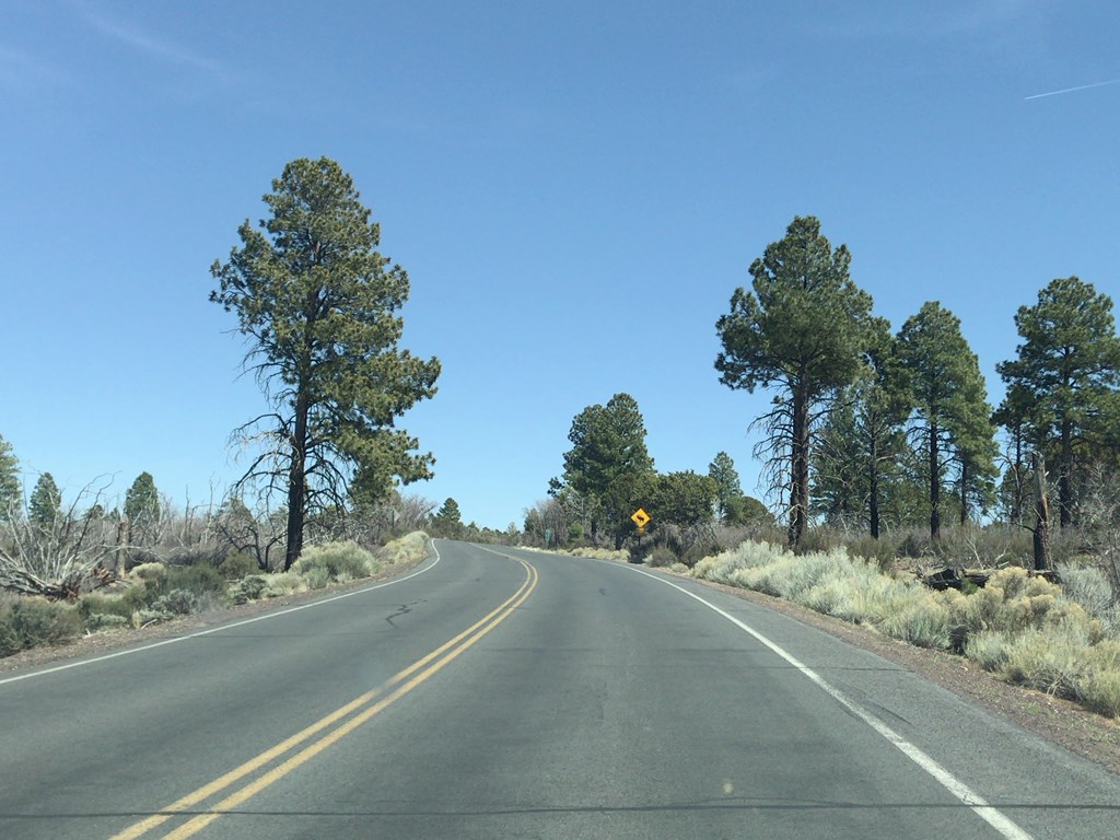 f:id:Yoshi4423:20180424230619j:plain