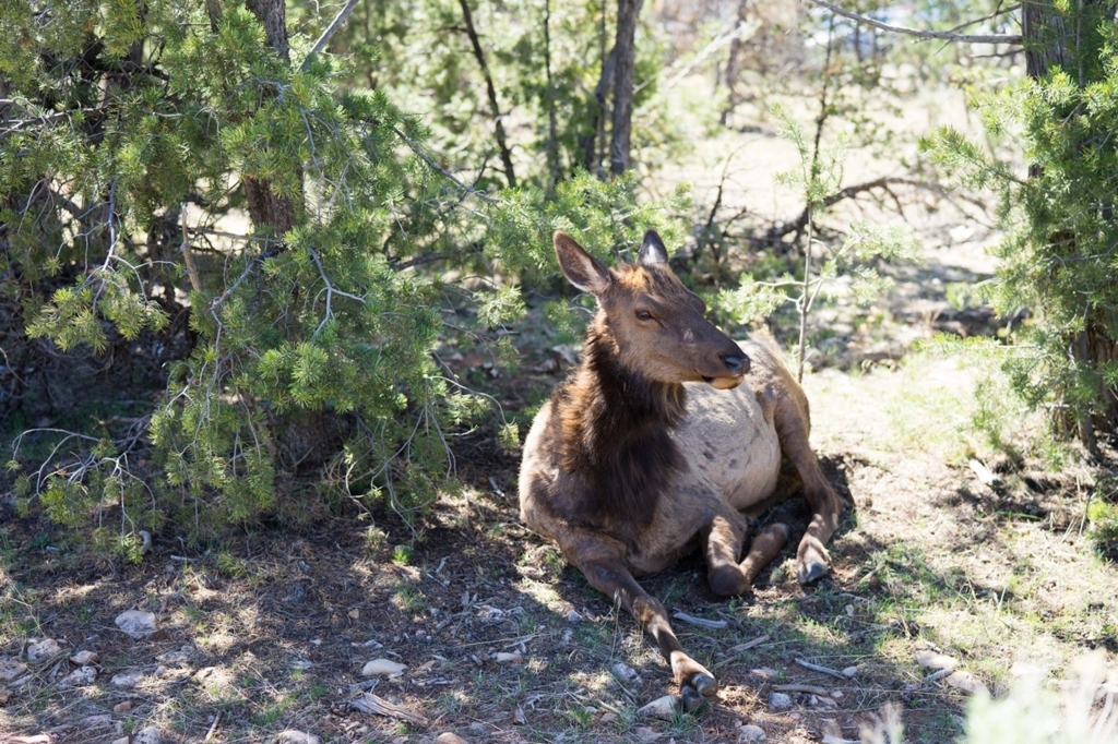 f:id:Yoshi4423:20180424232837j:plain