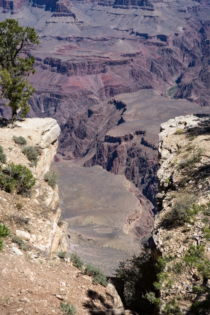 f:id:Yoshi4423:20180424232907j:plain