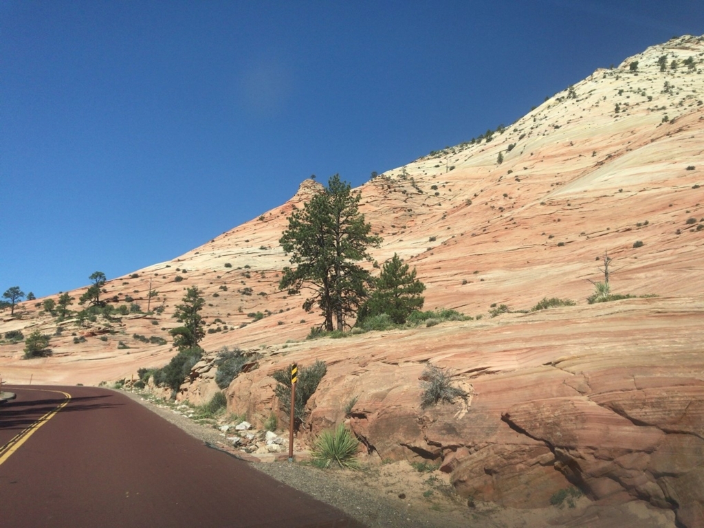 f:id:Yoshi4423:20180426020020j:plain