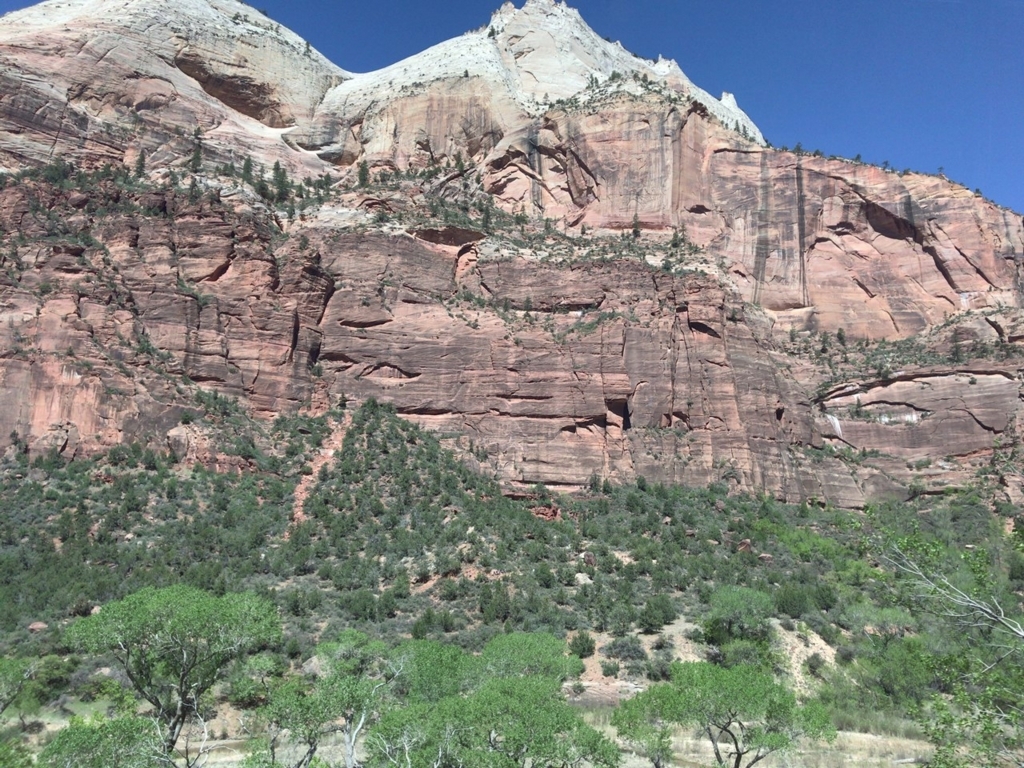 f:id:Yoshi4423:20180426022057j:plain