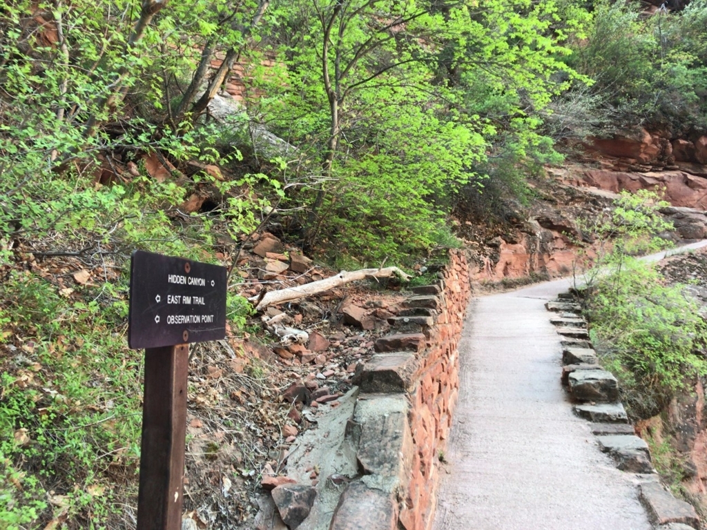 f:id:Yoshi4423:20180426022946j:plain