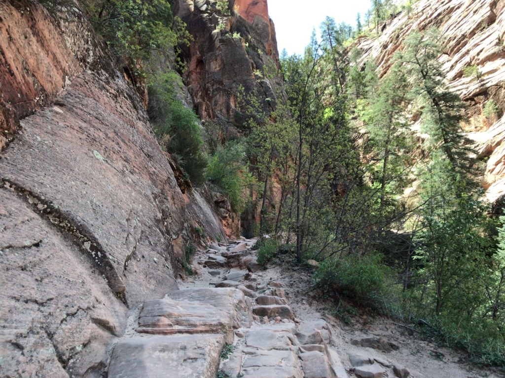 f:id:Yoshi4423:20180426023134j:plain