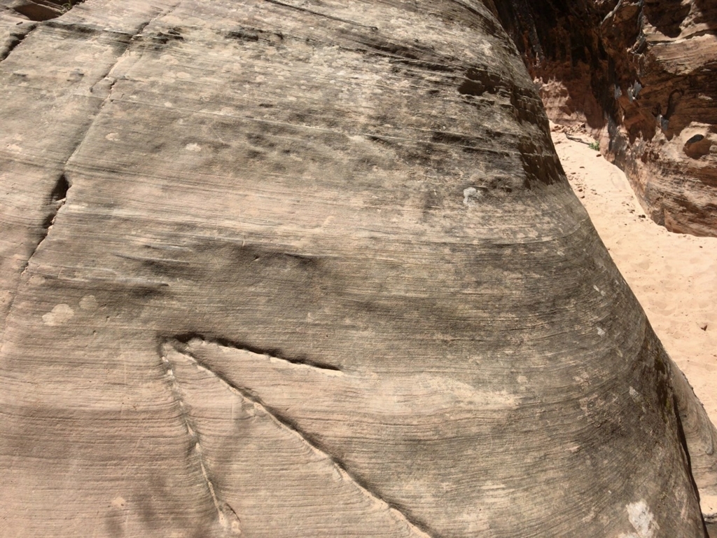 f:id:Yoshi4423:20180426023801j:plain