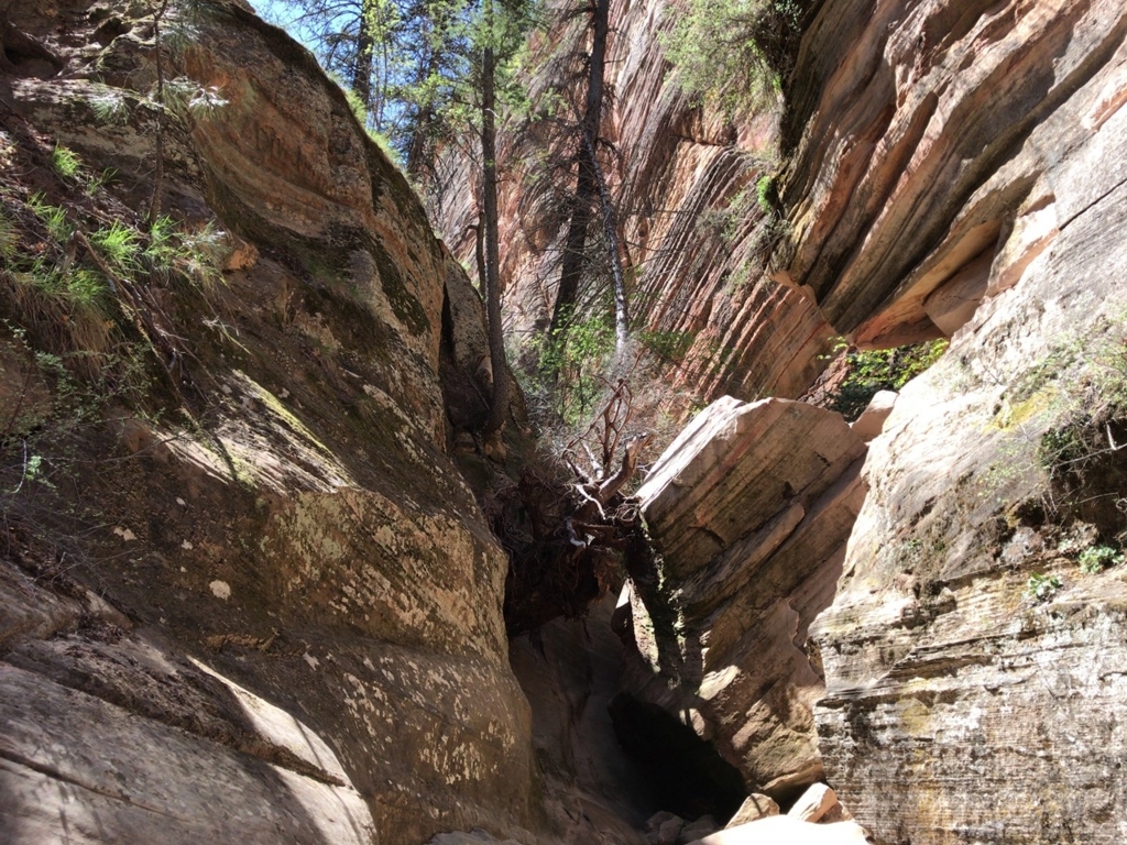 f:id:Yoshi4423:20180426023939j:plain