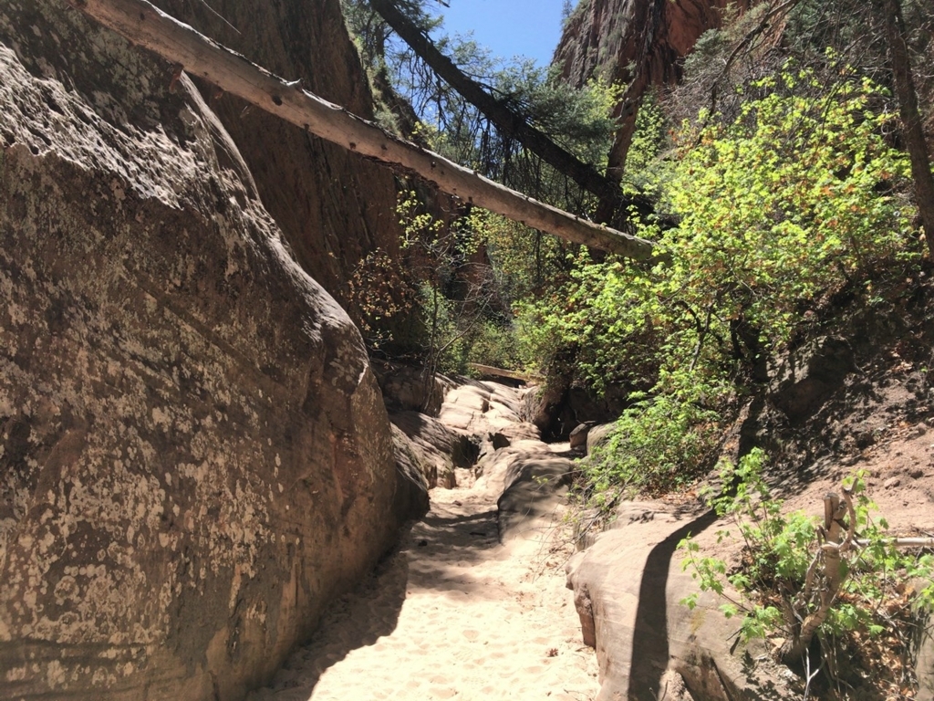 f:id:Yoshi4423:20180426023942j:plain