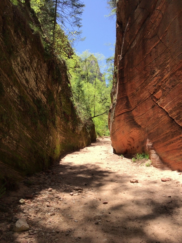 f:id:Yoshi4423:20180426024109j:plain