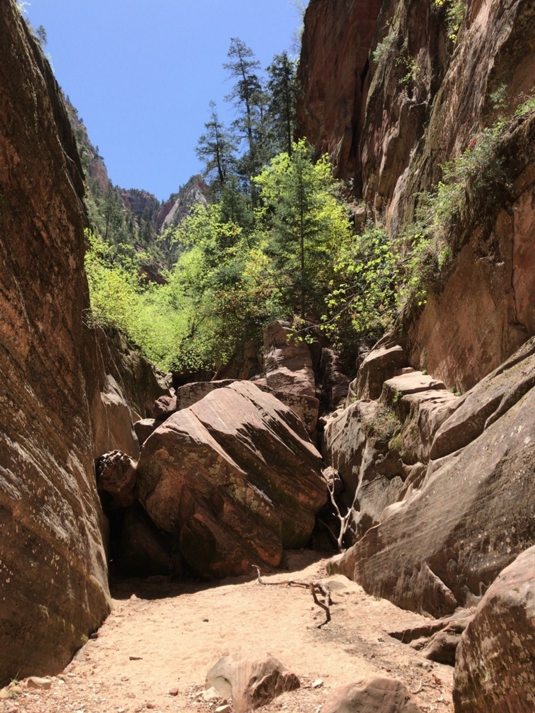 f:id:Yoshi4423:20180426024619j:plain