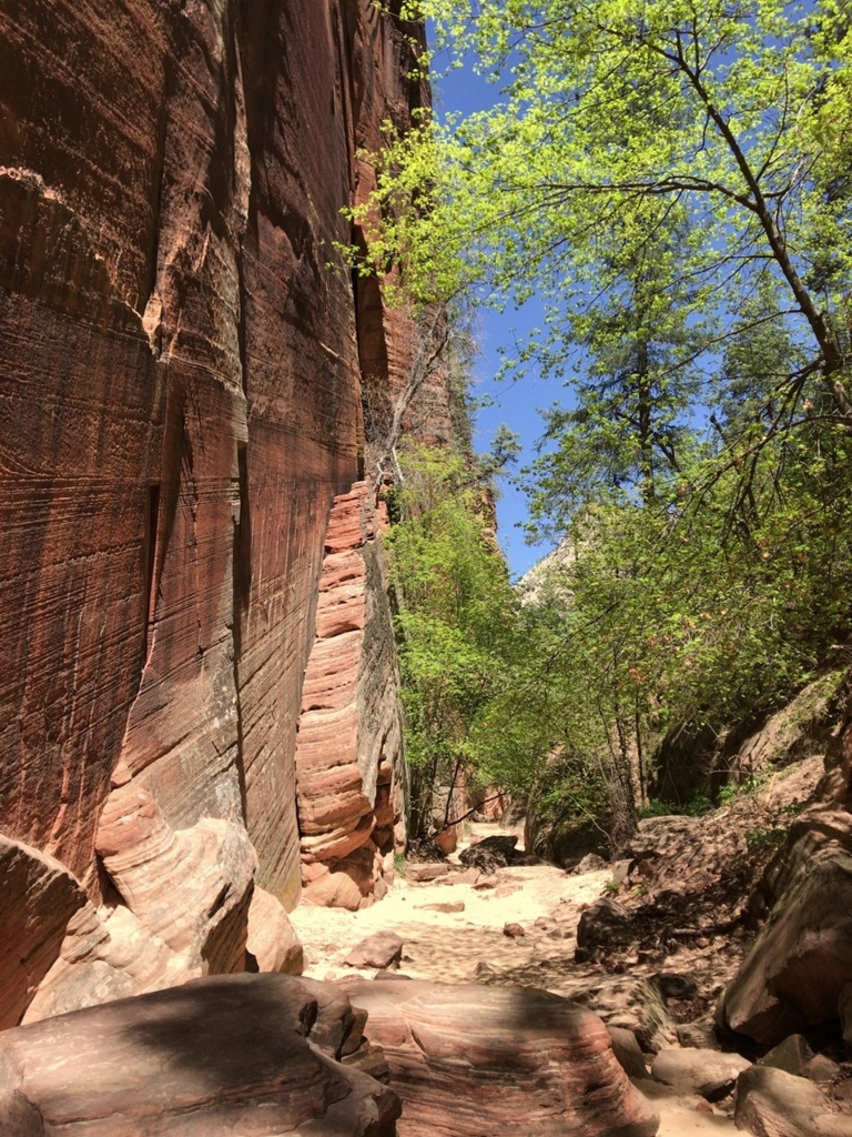 f:id:Yoshi4423:20180426024620j:plain