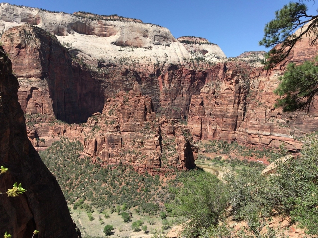 f:id:Yoshi4423:20180426025206j:plain