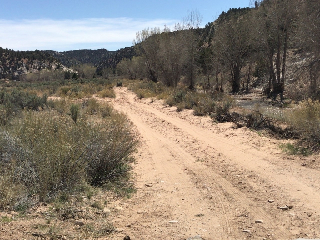 f:id:Yoshi4423:20180426030444j:plain