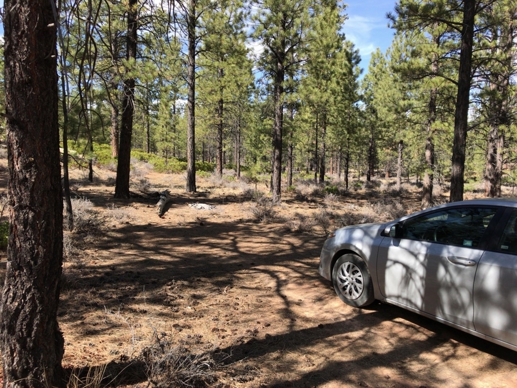 f:id:Yoshi4423:20180426031559j:plain