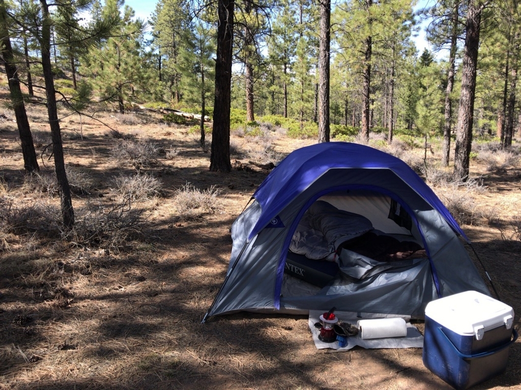 f:id:Yoshi4423:20180426031724j:plain