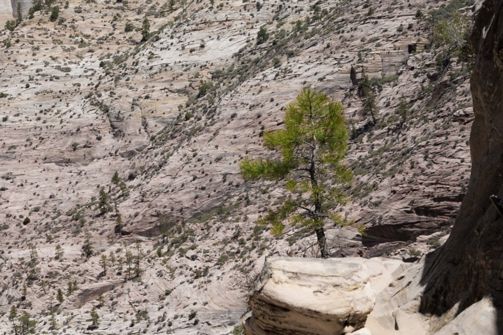 f:id:Yoshi4423:20180426035015j:plain