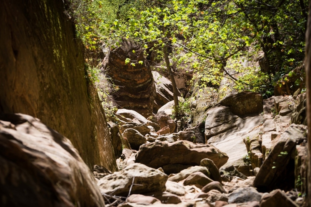 f:id:Yoshi4423:20180426035209j:plain