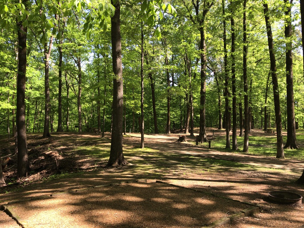 f:id:Yoshi4423:20180430201631j:plain f:id:Yoshi4423:20180430201631j:plain