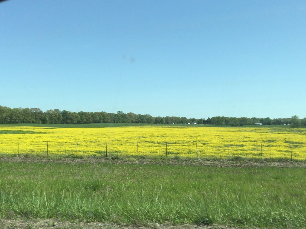 f:id:Yoshi4423:20180430202729j:plain f:id:Yoshi4423:20180430202729j:plain