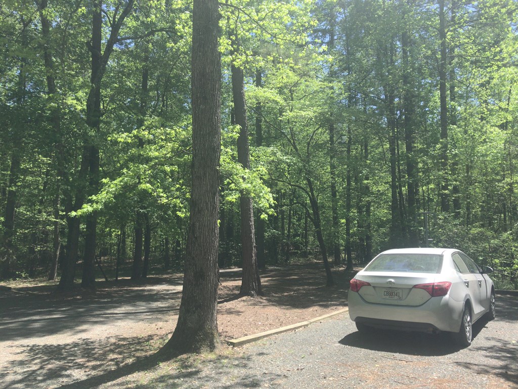 f:id:Yoshi4423:20180502074524j:plain