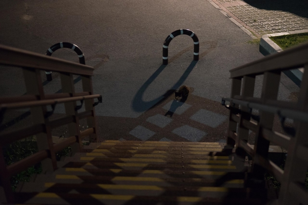 f:id:Yoshi4423:20180611191102j:plain