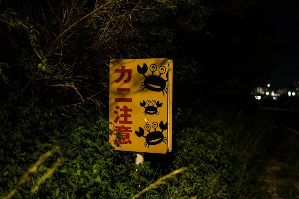 f:id:Yoshi4423:20180611191326j:plain