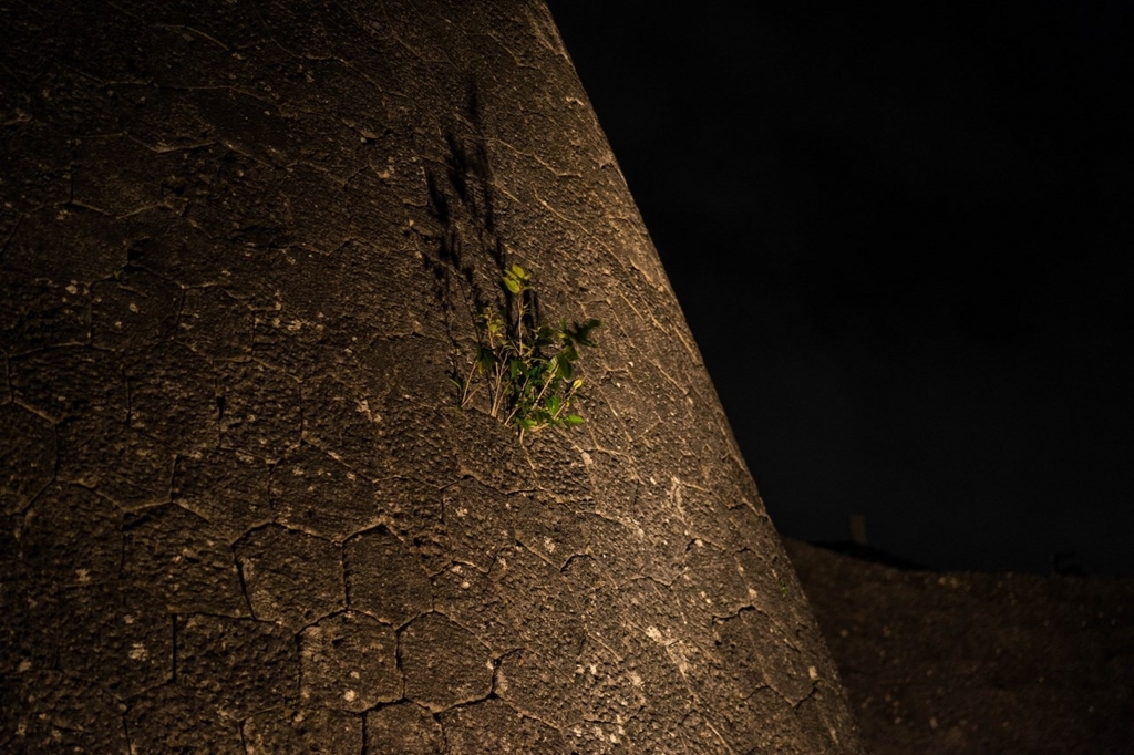 f:id:Yoshi4423:20180702205240j:plain