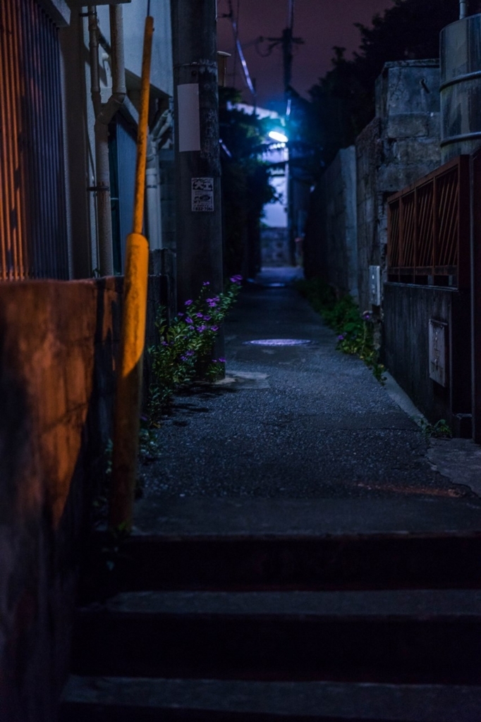 f:id:Yoshi4423:20180702205336j:plain f:id:Yoshi4423:20180702205336j:plain