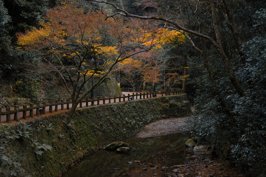 f:id:Yoshi4423:20181022224340j:plain