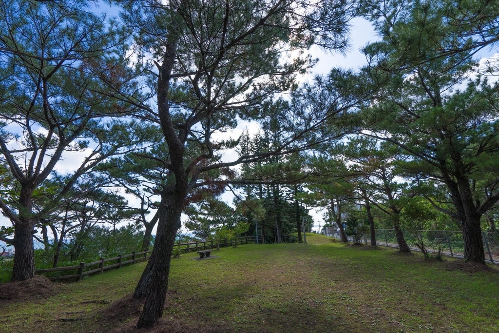 f:id:Yoshi4423:20190117181307j:plain