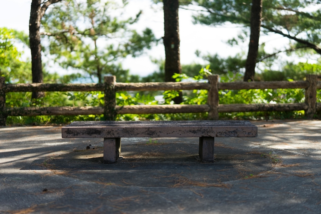 f:id:Yoshi4423:20190117181430j:plain