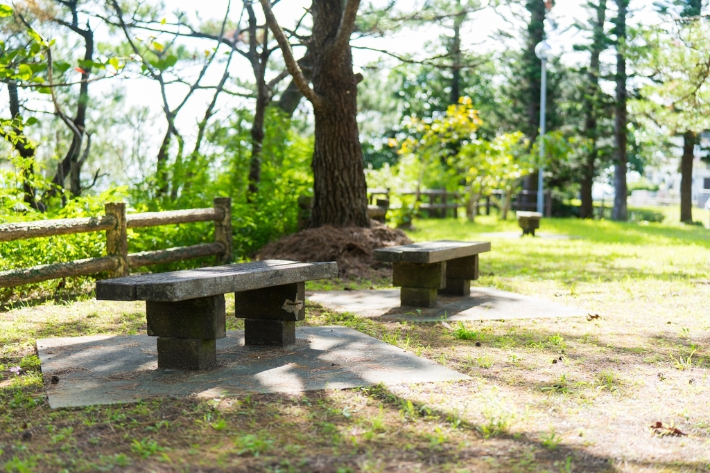 f:id:Yoshi4423:20190117181438j:plain