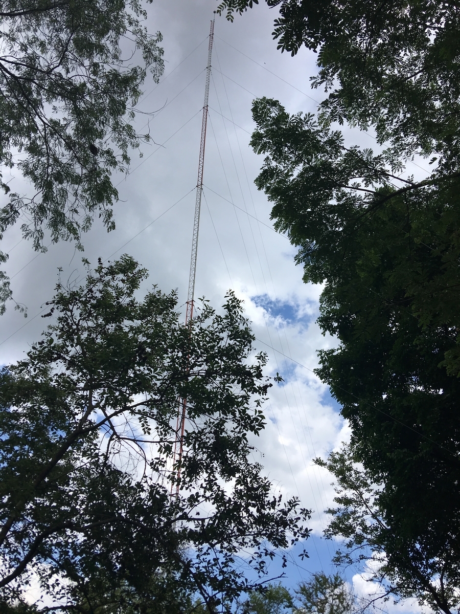 f:id:YoshihikoK:20190528120707j:plain f:id:YoshihikoK:20190528120707j:plain