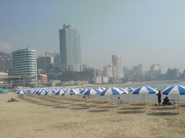 f:id:YoshihikoK:20190614085333j:plain f:id:YoshihikoK:20190614085333j:plain