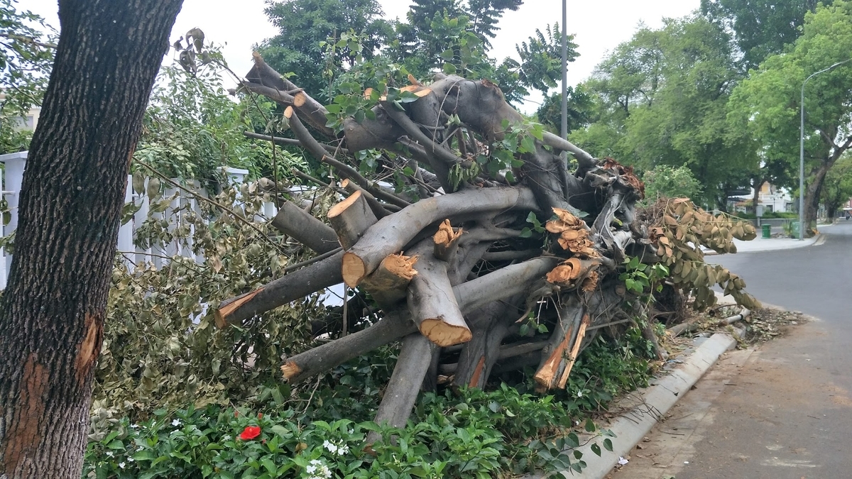 f:id:YoshihikoK:20201031075636j:plain